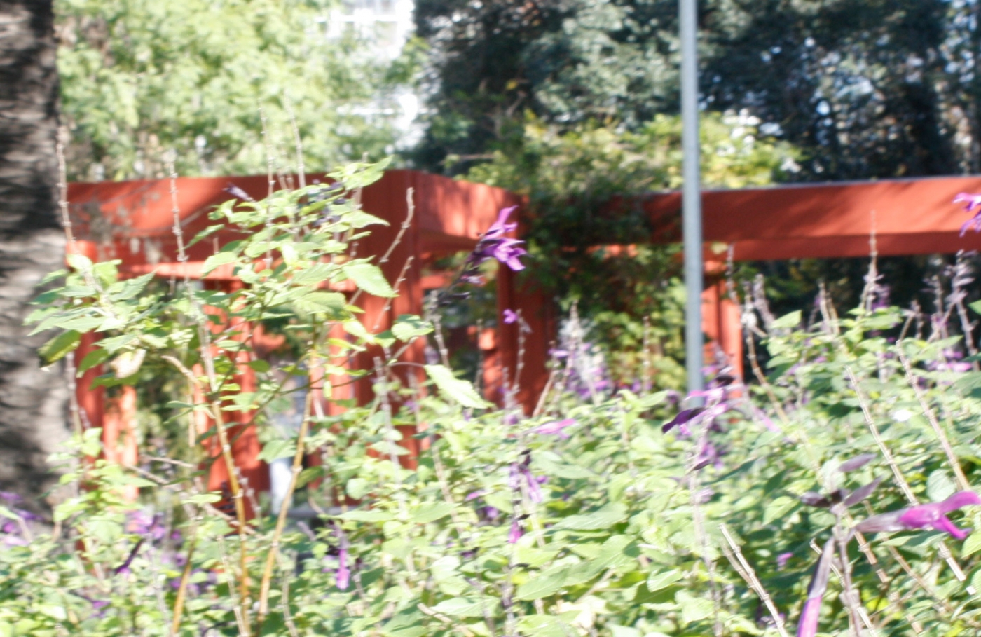 Plaza del Ángel Gris